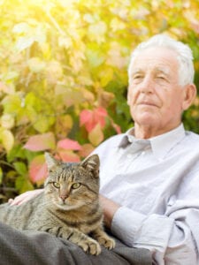 Elder Care Dublin GA - The Best Cat for Your Senior