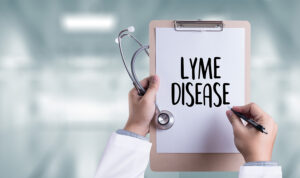Companion Care at Home Cochran GA - Easy Ways For Seniors To Avoid Lyme Disease