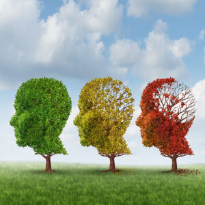 Alzheimer's Home Care Fort Valley, GA - Important Steps After an Alzheimer's Diagnosis
